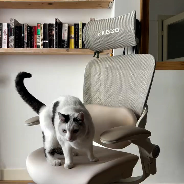 musso ergonomic chair