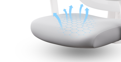 cushion 3-1.png__PID:dd181bcc-1299-49d4-8d56-34a538320b51